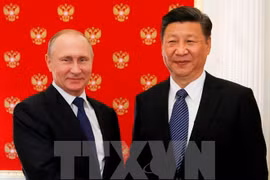 Tổng thống Nga Vladimir Putin (trái) và Chủ tịch Trung Quốc Tập Cận Bình. (Nguồn: EPA/TTXVN)