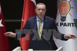 Tổng thống Thổ Nhĩ Kỳ Tayyip Erdogan. (Nguồn: AFP/TTXVN)