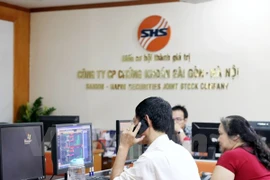 Ảnh minh họa. (Nguồn: PV/Vietnam+)