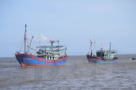 Ảnh chỉ có tính minh họa. (Nguồn: TTXVN)