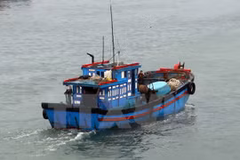 Ảnh minh họa. (Nguồn: TTXVN)