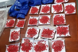 Ảnh minh họa. (Nguồn: TTXVN)