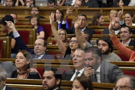 Các nghị sĩ biểu quyết tại phiên họp của Cơ quan lập pháp vùng Catalonia ở Barcelona ngày 6/9. (Nguồn: AFP/TTXVN)