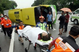 Ảnh minh họa, (Nguồn: nst.com.my)