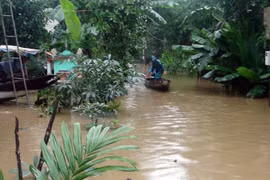 Người dân vùng lũ dùng thuyền thay xe để đi lại. (Ảnh: Trịnh Bang Nhiệm/TTXVN)