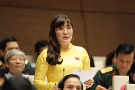 Đại biểu Quốc hội thành phố Đà Nẵng Võ Thị Như Hoa chất vấn. (Ảnh: Phương Hoa/TTXVN)