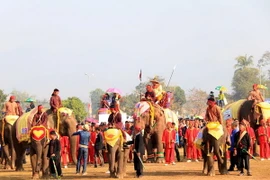Có tới 68 chú voi tham gia lễ hội năm nay. (Ảnh: Phạm Kiên/Vietnam+)