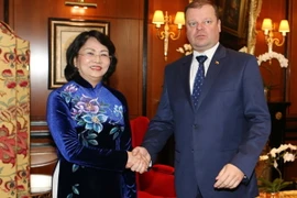 Phó Chủ tịch nước Đặng Thị Ngọc Thịnh làm việc với Thủ tướng Litva Saulius Skvernelis. (Ảnh: Doãn Tấn/TTXVN)