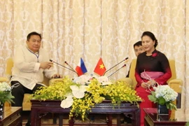 Chủ tịch Quốc hội Nguyễn Thị Kim Ngân tiếp Chủ tịch Hạ viện Philippin, Pantaleon Alvarez. (Ảnh: Trọng Đức/TTXVN) 