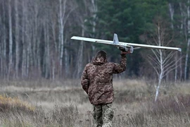 Một mẫu UAV quân sự. (Nguồn: Getty)