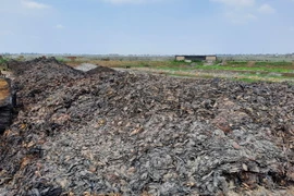 Bãi chứa khối lượng lớn vỏ xoài, hạt xoài tại huyện Tam Nông, tỉnh Đồng Tháp. (Ảnh: Nhựt An/TTXVN)