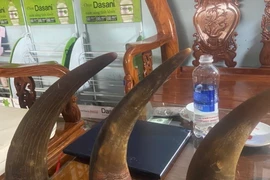 Một số các tang vật bị cơ quan chức năng phát hiện và thu giữ. (Ảnh: TTXVN phát)