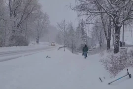 Tuyết muộn tại Phần Lan. (Nguồn: YLE)