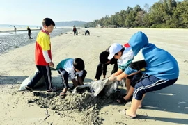 Học sinh trên đảo Cô Tô thu gom rác thải, dọn sạch bãi biển. (Ảnh: TTXVN phát)