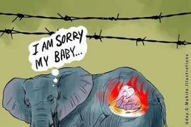 Xúc động với những bức tranh tưởng niệm voi mẹ chết thảm tại Ấn Độ