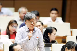 Đại biểu Quốc hội TP Hồ Chí Minh Trương Trọng Nghĩa phát biểu ý kiến. (Ảnh: Trọng Đức/TTXVN)