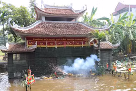 Múa rối nước Việt Nam. (Ảnh: Diệp Trương/TTXVN)