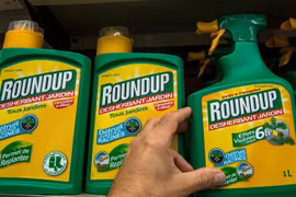 Thuốc diệt cỏ Roundup của hãng Monsanto (Mỹ) được bày bán tại một cửa hàng ở Lille, Pháp. (Ảnh: AFP/TTXVN)