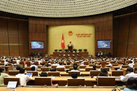 Quốc hội họp phiên toàn thể ở hội trường chiều 12/6 để thảo luận về Chương trình mục tiêu quốc gia phát triển kinh tế - xã hội vùng đồng bào dân tộc thiểu số và miền núi giai đoạn 2021-2030. (Ảnh minh họa: Văn Điệp/TTXVN)