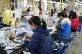 Nhiều địa phương lớn có tỷ lệ lao động quay lại làm việc đạt 100% sau Tết Nguyên đán. (Ảnh: Đức Duy/Vietnam+)