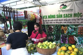 Nông sản, trái cây của các địa phương được giới thiệu, quảng bá tới người tiêu dùng Thủ đô. (Ảnh: Xuân Quảng/Vietnam+)