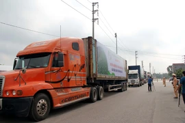 Huyện Tân Yên (Bắc Giang) tổ chức Lễ xuất hành vải thiều sớm Tân Yên đi thị trường Nhật Bản. (Ảnh: TTXVN)