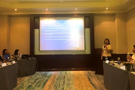 Đại diện Orsted chia sẻ quan tâm đến việc đầu tư vào các dự án điện gió ngoài khơi tại Việt Nam. (Ảnh: PV/Vietnam+)