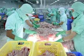 Chế biến cá tra/basa phile xuất khẩu tại Nhà máy thủy sản Sông Tiền, tỉnh Đồng Tháp. (Ảnh: Đình Huệ/TTXVN)