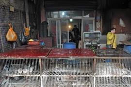 (Ảnh minh họa: THX/TTXVN)