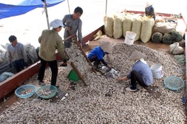 Thanh Hóa: 31 năm tù cho 2 kẻ giết người vụ hỗn chiến vì ngao 