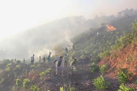 (Ảnh minh họa: Ly Kha/TTXVN)