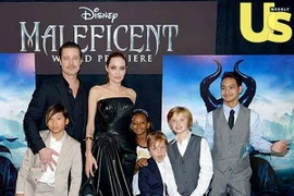 Kẻ đấm Brad Pitt từng là chuyên gia quậy phá trên thảm đỏ