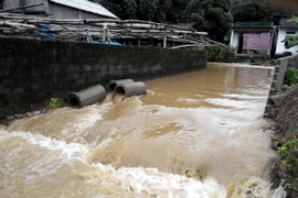 Các tỉnh Bắc Bộ chủ động đối phó với các tình huống mưa, lũ