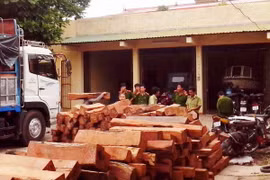 (Ảnh minh họa: Hồ Cầu/TTXVN)