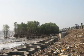 Tiền Giang đầu tư 86 tỷ đồng khắc phục các điểm sạt lở nặng