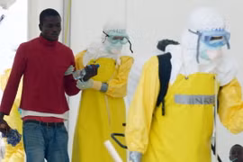 Italy bước đầu phát triển thành công vắcxin kháng virus Ebola