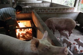 45 năm theo Di chúc Bác: Không ngừng chăm lo đời sống nhân dân