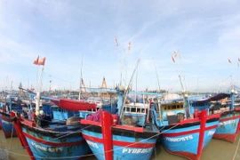 Quảng Ngãi sẽ đầu tư trên 1.600 tỷ đồng đóng mới tàu cá