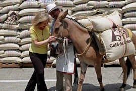 Ảnh minh họa. (Nguồn: AFP)