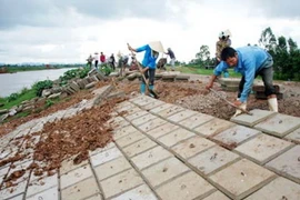 Hà Nội đầu tư hơn 161 tỷ đồng để xử lý đê điều bị sạt lở