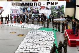 Peru thu giữ gần 8 tấn cocaine tại thành phố cảng Trujillo