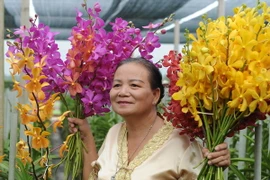 (Ảnh minh họa: Kim Phương/TTXVN)