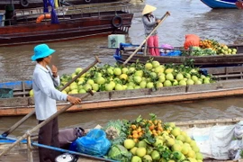 Cần Thơ mở thêm nhiều tour mới, khai thác tiềm năng du lịch