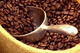 Ảnh minh họa. (Nguồn: caphedaklak.com)