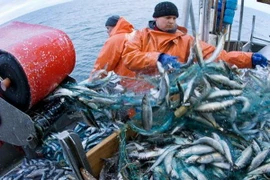 Ảnh minh họa. (Nguồn: dw.de)