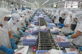 Chế biến cá tra xuất khẩu tại Công ty chế biến và đông lạnh Việt An ở An Giang. (Ảnh: Phương Vy/TTXVN)