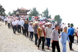 Hội Cựu chiến binh trồng cây ở khu mộ Tướng Võ Nguyễn Giáp