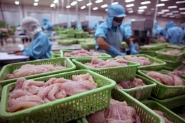 Việt Nam đứng đầu về xuất khẩu sản phẩm cá sang Colombia 