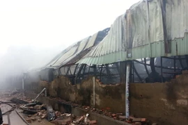 Bình Dương dập tắt đám cháy tại Công ty giày Thái Vĩnh Thắng