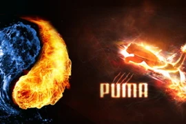 Cuộc đua giành thị phần giữa các thương hiệu thể thao 